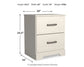 Stelsie Queen Panel Bed with Mirrored Dresser and Nightstand at Lee Furniture, NC
